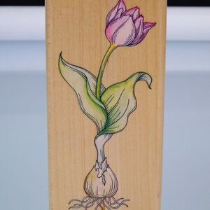 Tulip With Bulb Flower Stamp Stampede A1581F Crafters Stamp New Unused